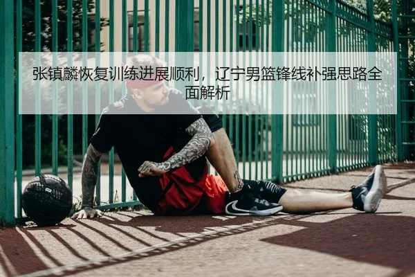 张镇麟恢复训练进展顺利，辽宁男篮锋线补强思路全面解析